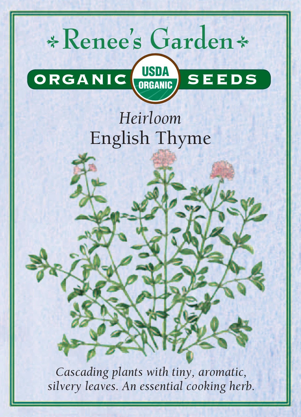 English Thyme 3 English Thyme