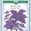Purple Opal 1 Purple Opal -Parkseed Shop 3067OBasilPurOpal