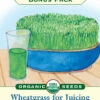 Wheatgrass For Juicing 1 Wheatgrass For Juicing -Parkseed Shop 3991 Wheatgrass PF