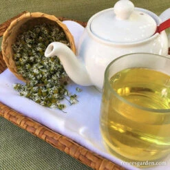 Bodegold Chamomile 17 Bodegold Chamomile -Parkseed Shop 5 Chamomile web