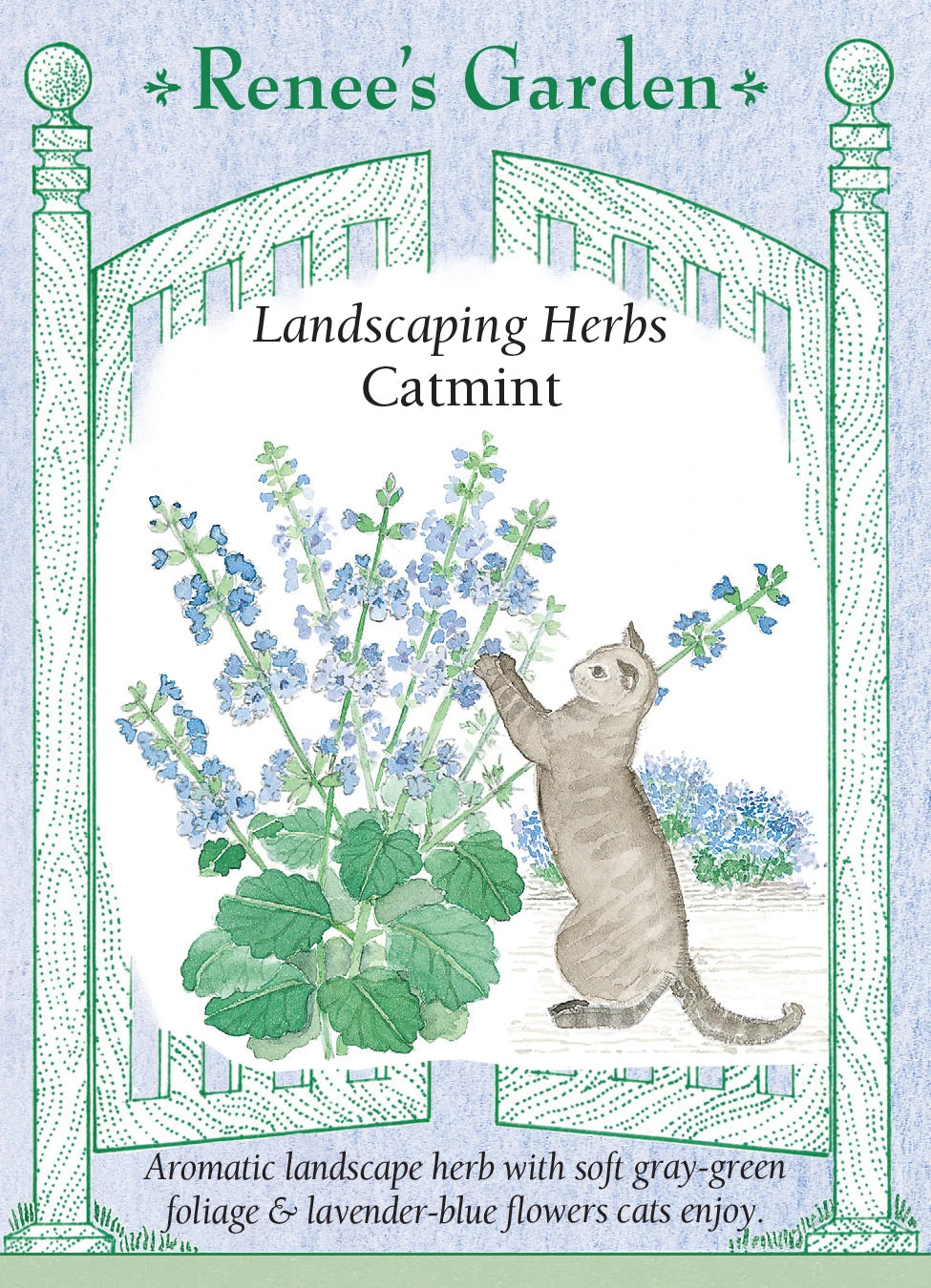 Catmint 3 Catmint