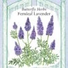 Fernleaf Lavender 1 Fernleaf Lavender -Parkseed Shop 5361LavndrFernleaf