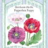 Pepperbox Poppy -Parkseed Shop 5365PopPeprBox