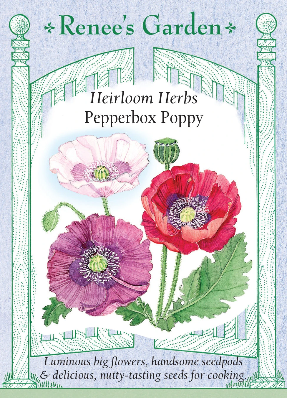 Pepperbox Poppy 3 Pepperbox Poppy
