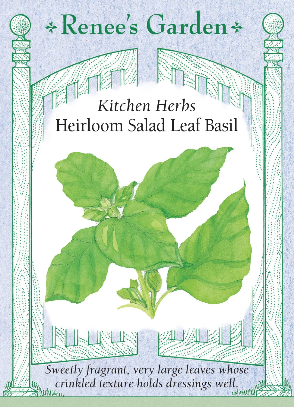Heirloom Salad Leaf Basil 3 Heirloom Salad Leaf Basil