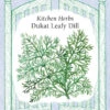 Dukat Leafy Dill 2 Dukat Leafy Dill -Parkseed Shop 5480DukatDill