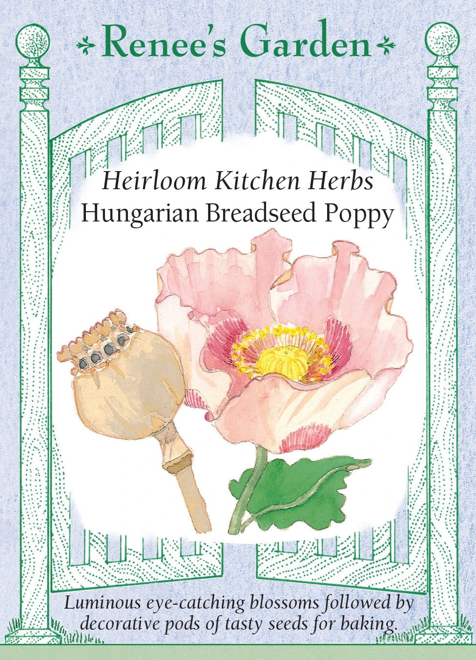 Hungarian Breadseed Poppy 3 Hungarian Breadseed Poppy