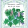 Bicolored Shiso -Parkseed Shop 5536ShisoOrnamEdible PF
