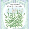 White Ice Lavender -Parkseed Shop 5844LavenderWhite