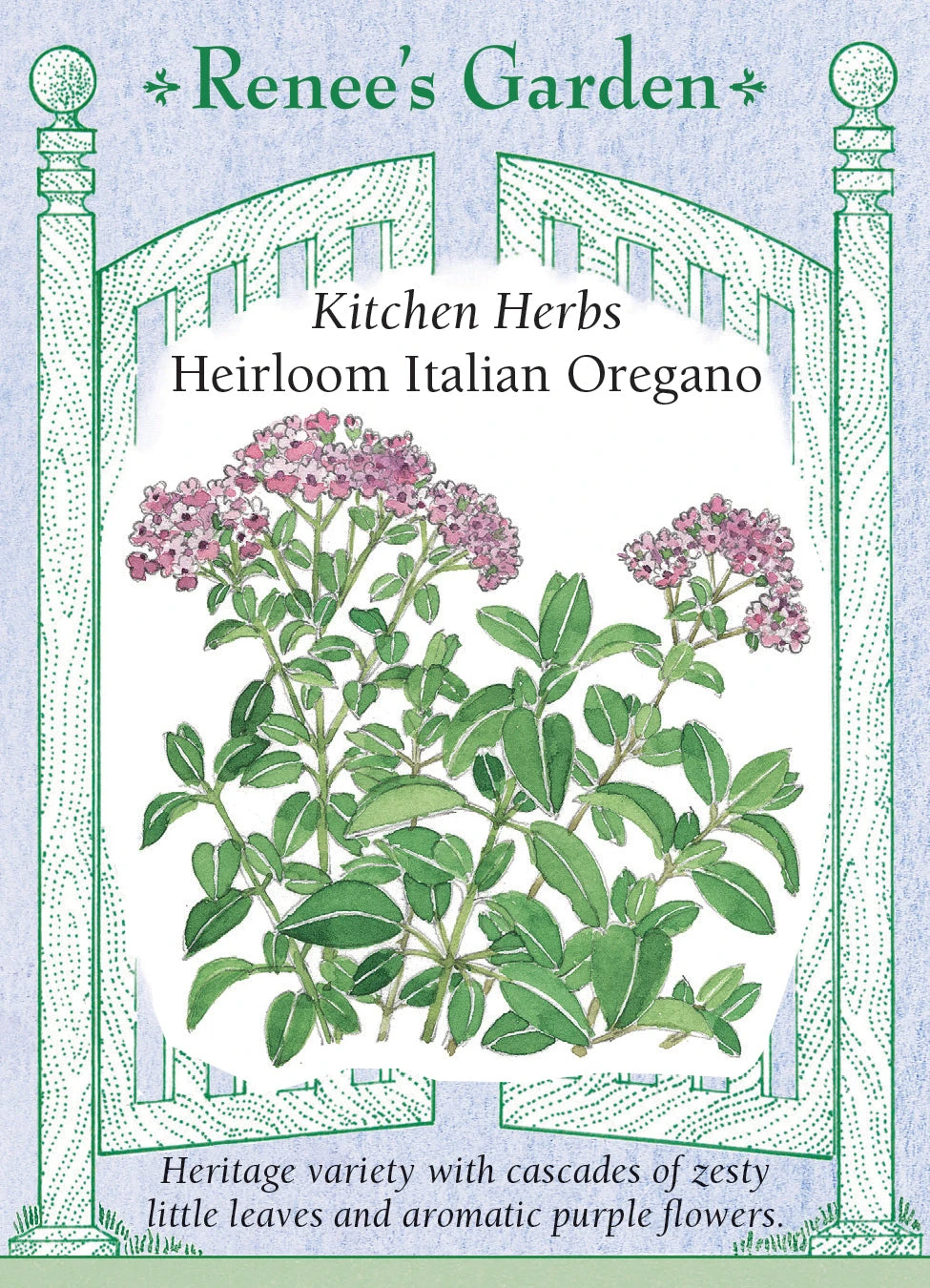 Heirloom Italian Oregano 3 Heirloom Italian Oregano