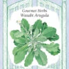 Wasabi Arugula -Parkseed Shop 5953ArugulaWasabi