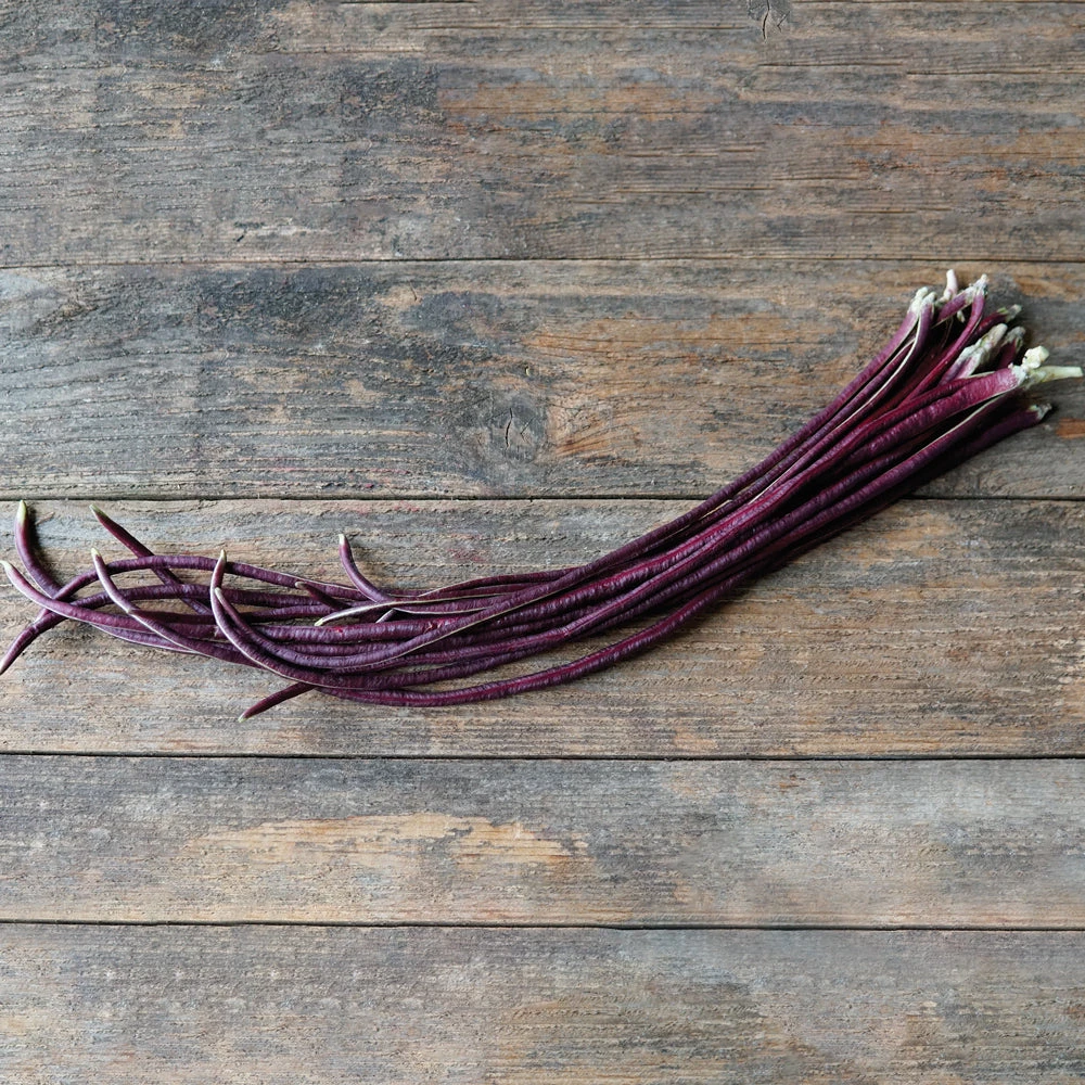 RED NOODLE 3 RED NOODLE