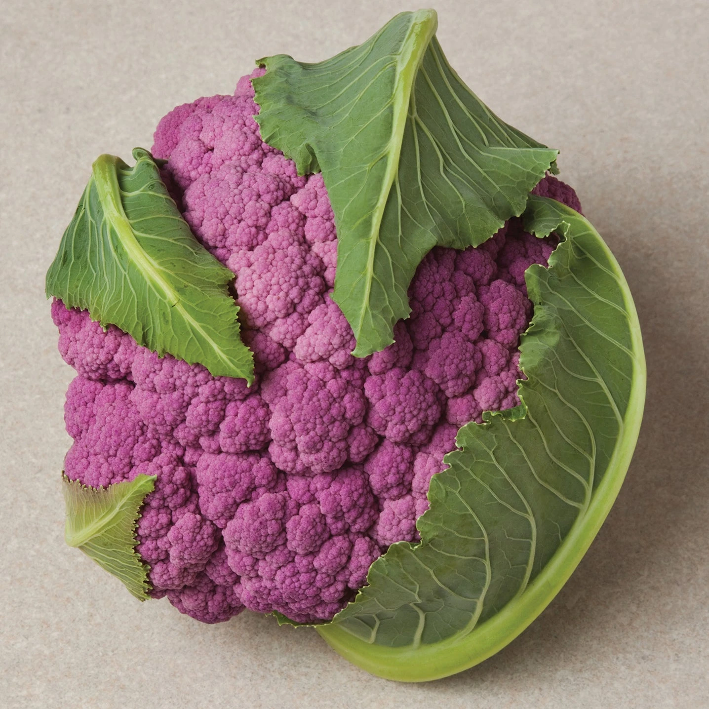 DEPURPLE 4 DEPURPLE - Image 2