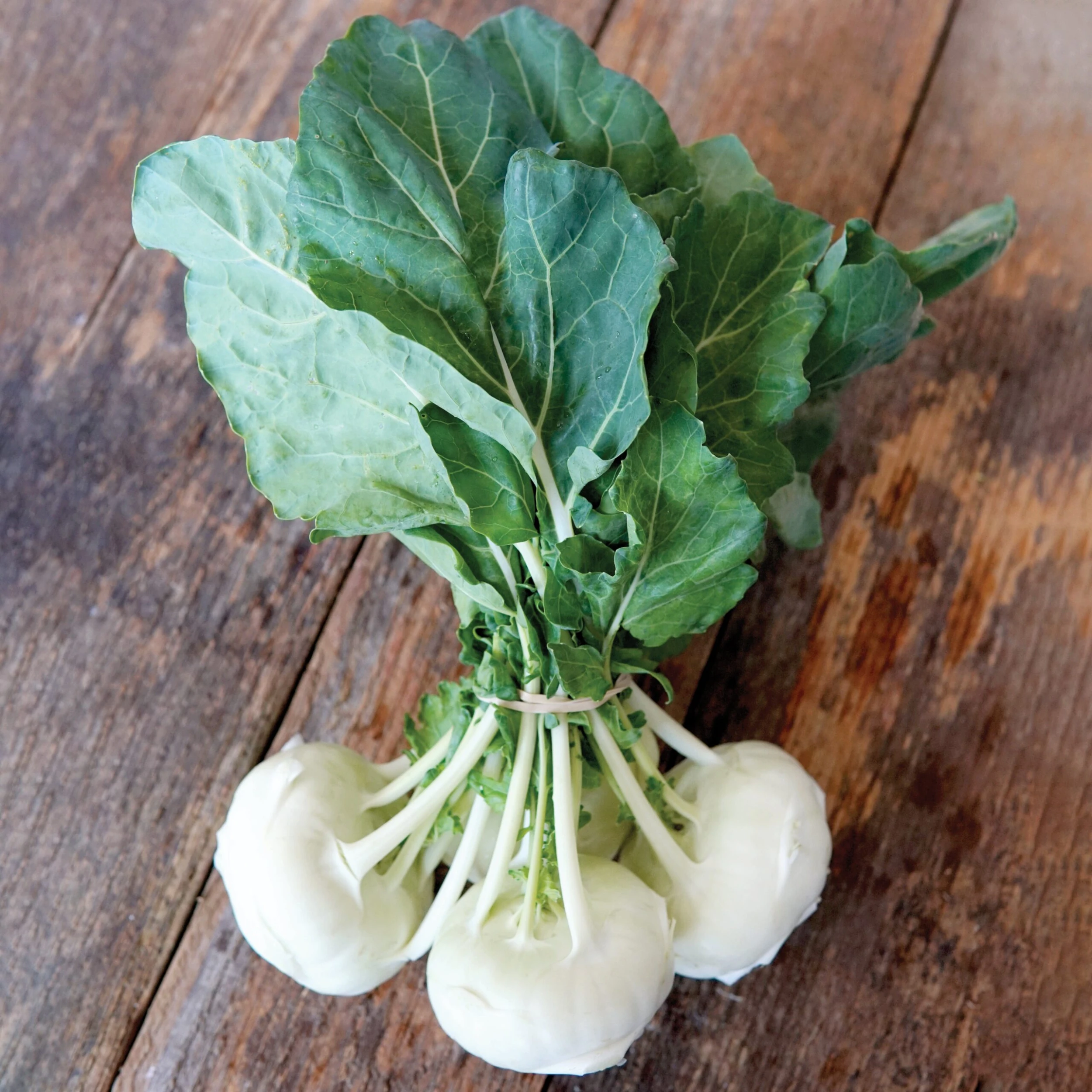 BEAS 4 BEAS - Image 2