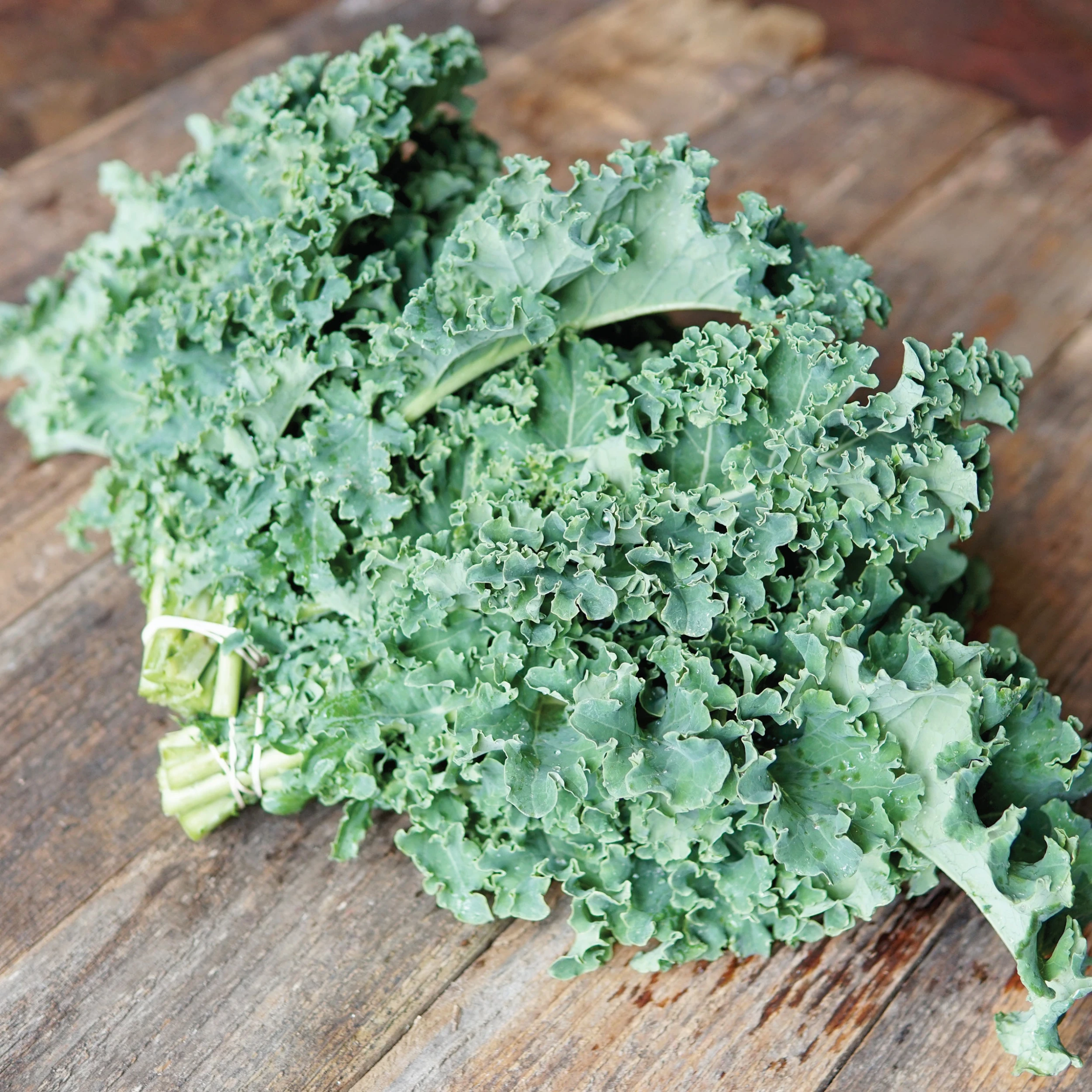 ARUN 4 ARUN - Image 2