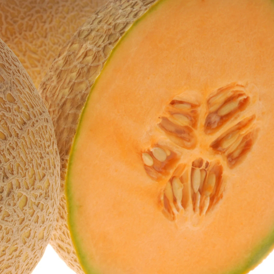 HOME RUN 4 HOME RUN - Image 2