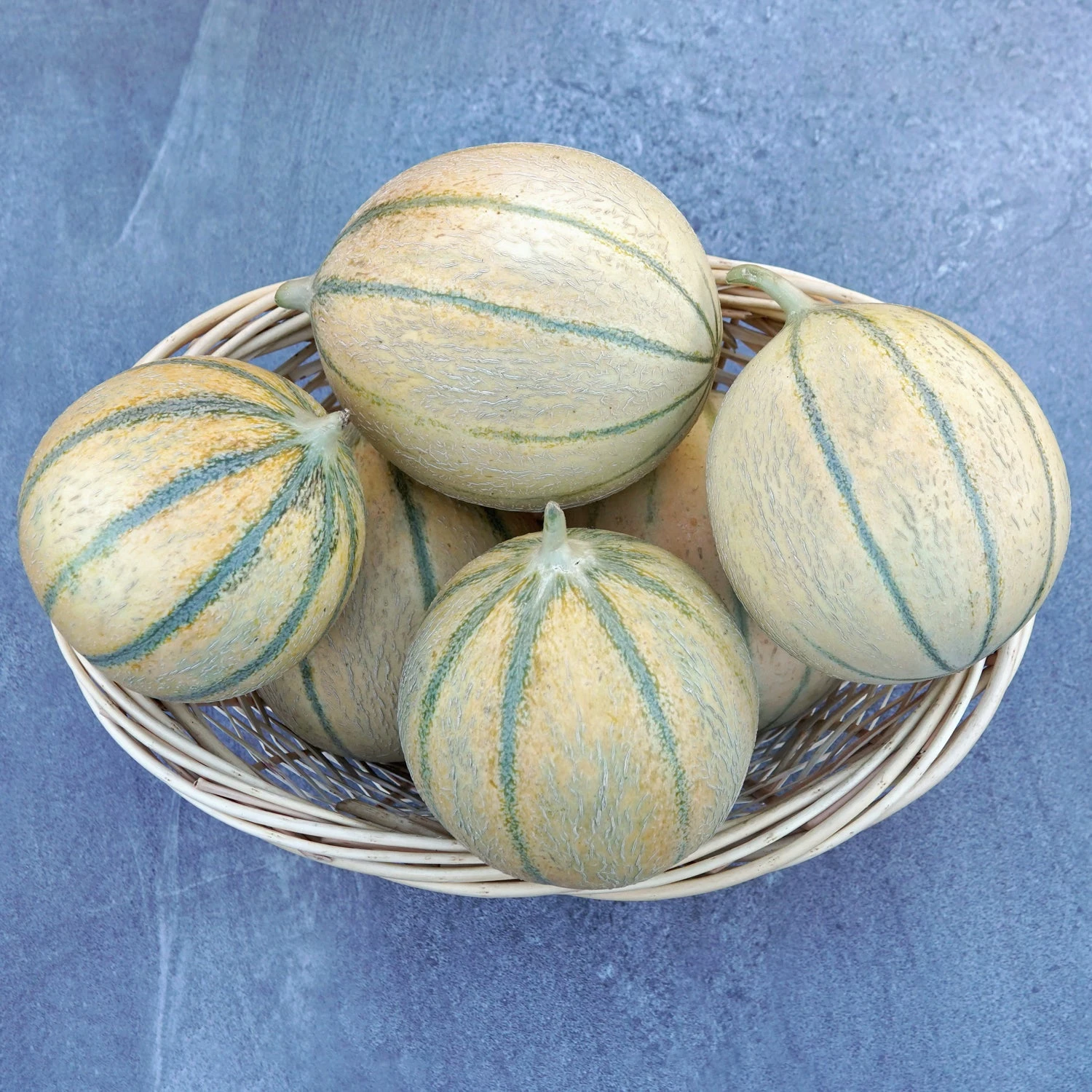 D'ARTAGNAN 3 D'ARTAGNAN