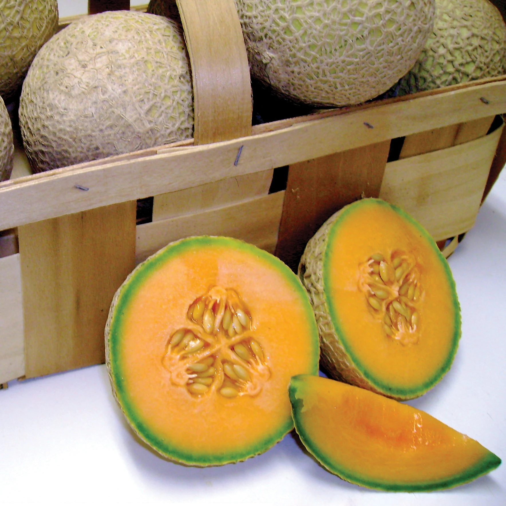 SUGAR CUBE 3 SUGAR CUBE