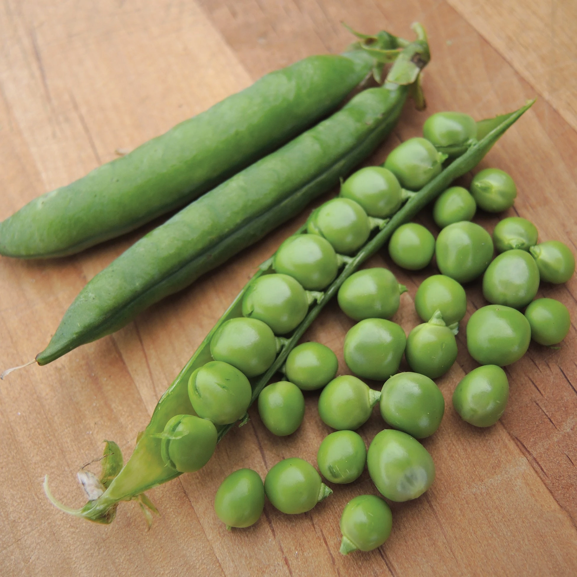 GREEN ARROW 3 GREEN ARROW