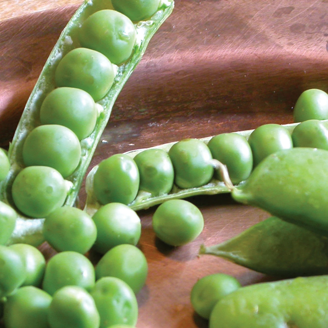 GREEN ARROW 4 GREEN ARROW - Image 2