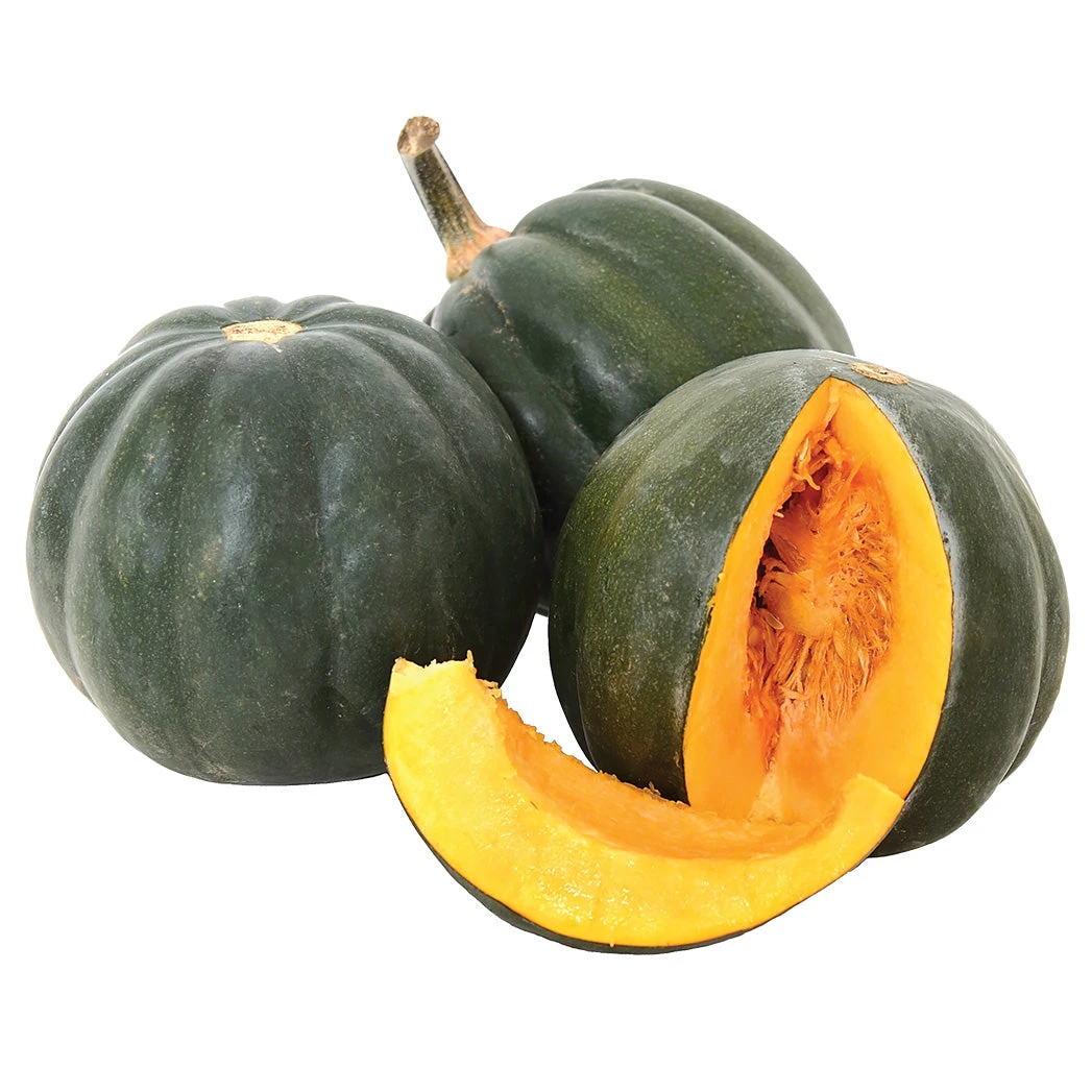 HONEY BEAR 3 HONEY BEAR