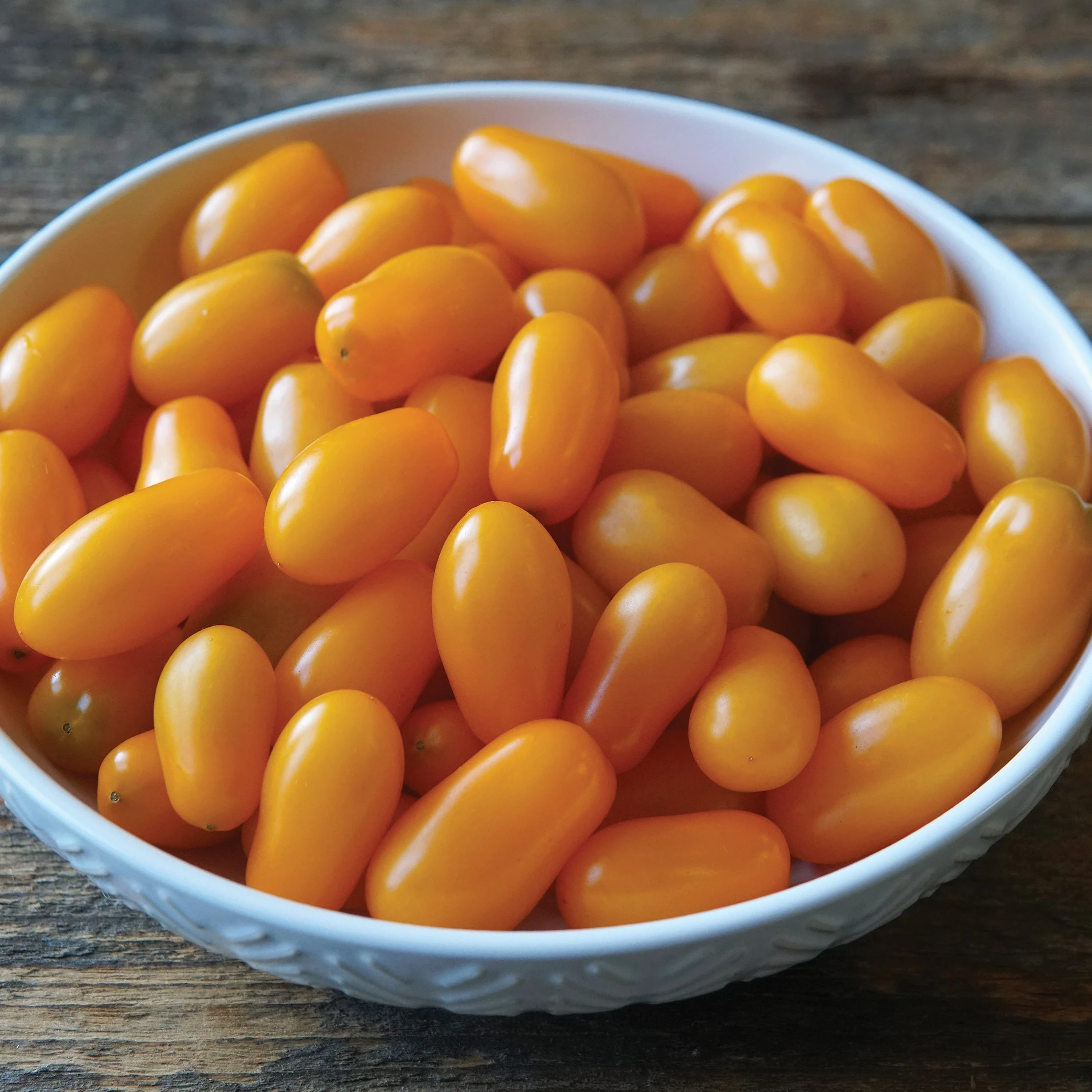 GOLD SPARK 3 GOLD SPARK