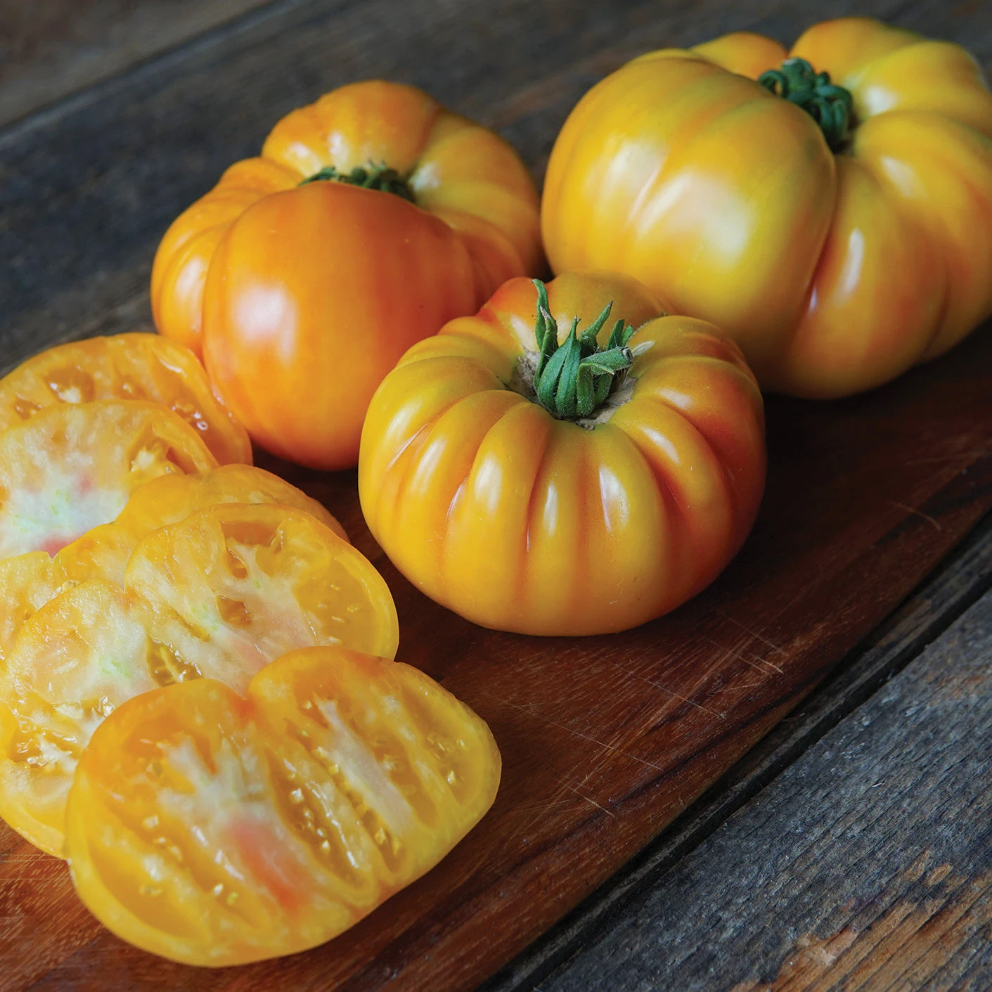 BUFFALOSUN 3 BUFFALOSUN