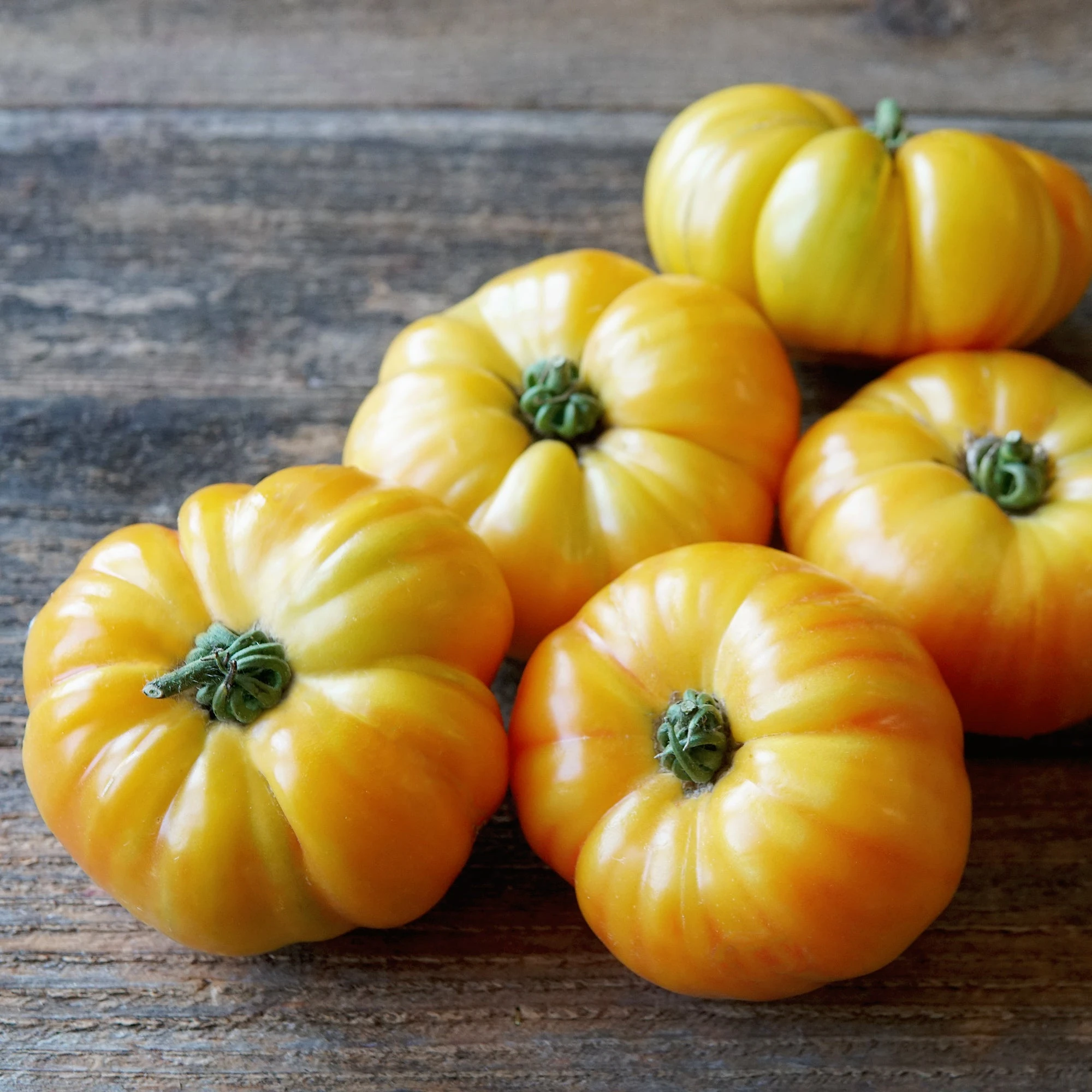 BUFFALOSUN 4 BUFFALOSUN - Image 2