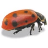 LADYBUGS -Parkseed Shop ZBG017