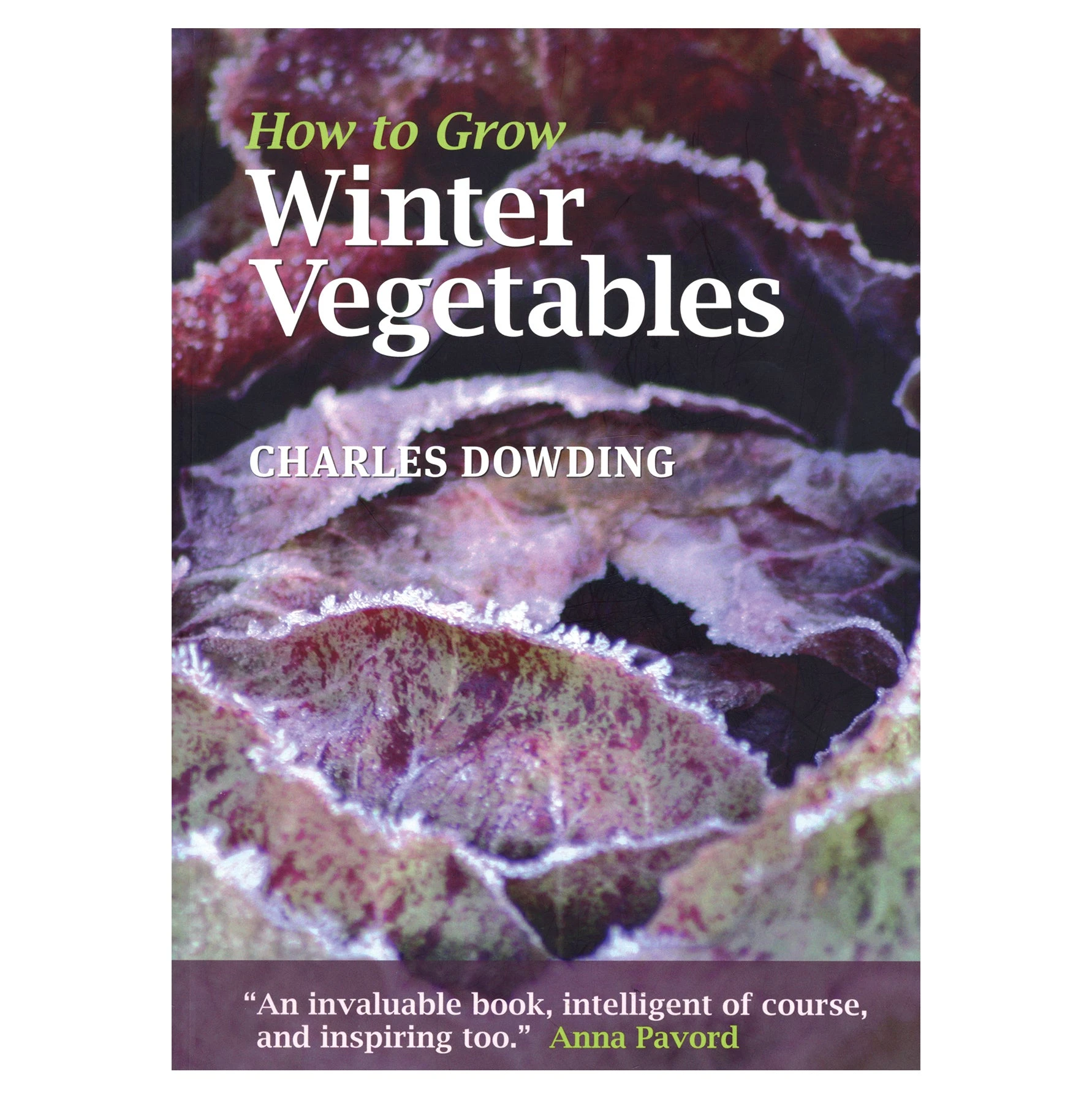 HOW TO GROW WINTER VEGETABLES 3 HOW TO GROW WINTER VEGETABLES
