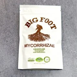 BIG FOOT GRANULAR MYCORRHIZAE
