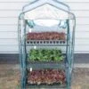 THREE SHELF GREENHOUSE