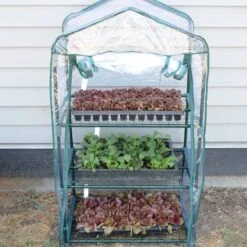 THREE SHELF GREENHOUSE