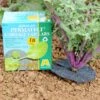 PERMAFELT® CABBAGE COLLARS -Parkseed Shop ZIN485 db93438f 1891 4cab 90ce f3bb4efd42e5