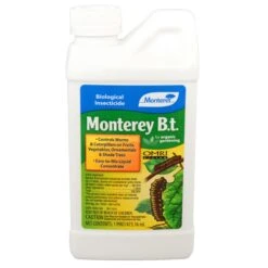 MONTEREY B.T.