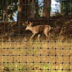 DEER FENCING