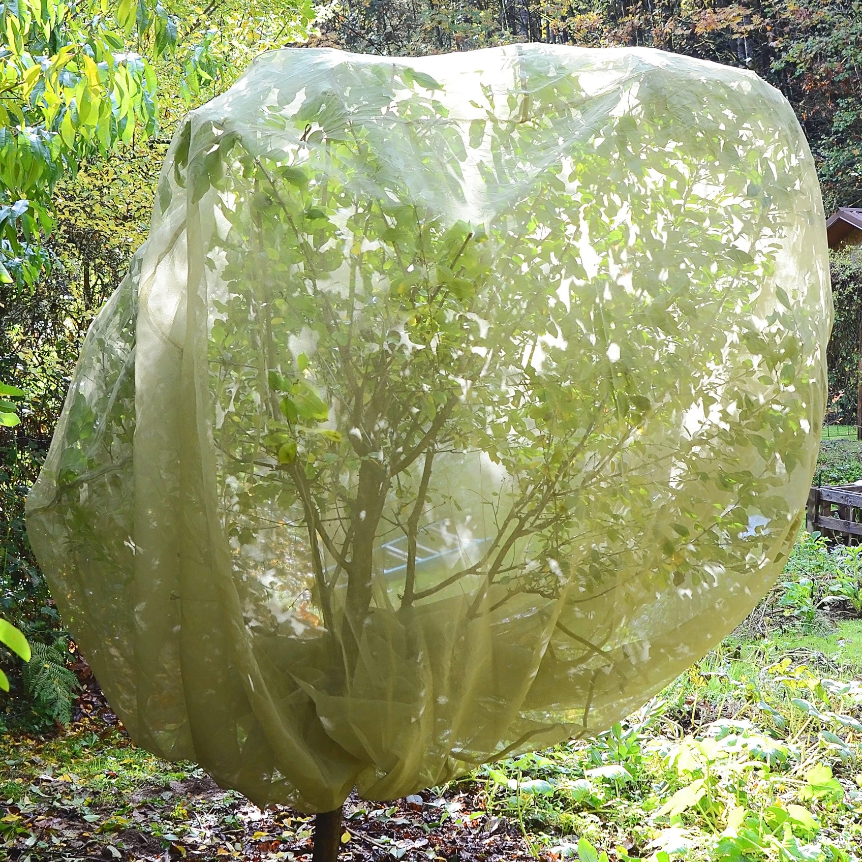 FRUIT TREE COVER 3 FRUIT TREE COVER