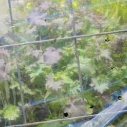 GRO-THERM PERFORATED TRANSPARENT FILM