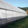TUFFLITE IV - COLD FRAMEGREENHOUSE PLASTIC -Parkseed Shop ZRC806