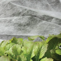 SUMMER INSECT BARRIER