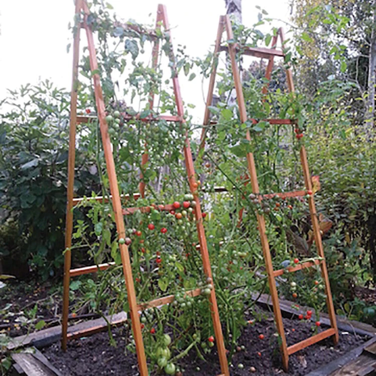 VEGETABLE TRELLISES 5 VEGETABLE TRELLISES - Image 3