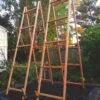 VEGETABLE TRELLISES -Parkseed Shop ZSU871 3