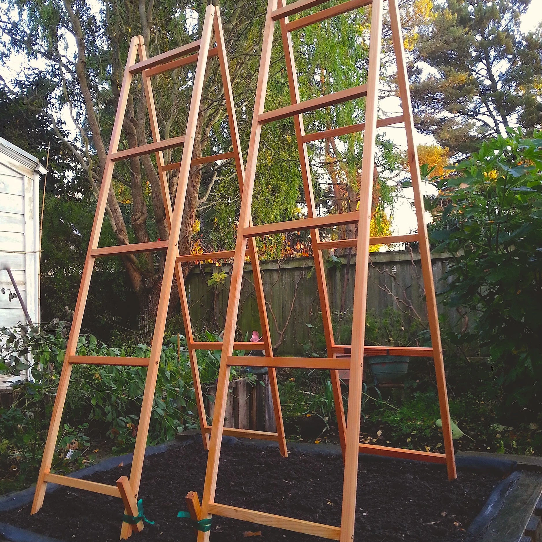 VEGETABLE TRELLISES 3 VEGETABLE TRELLISES