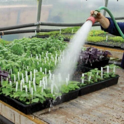 Parkseed Shop -Parkseed Shop ZSU907 2