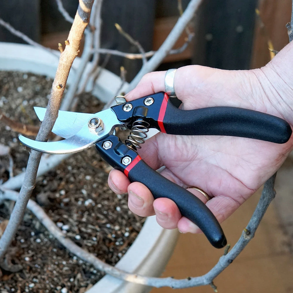 BYPASS PRUNER 3 BYPASS PRUNER