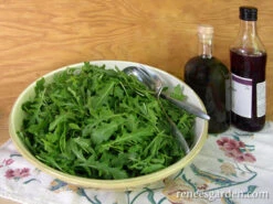 Rustic Style -Parkseed Shop arugula organic rustic 72dpi 03