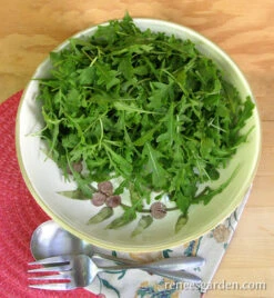 Rustic Style -Parkseed Shop arugula organic rustic 72dpi 04