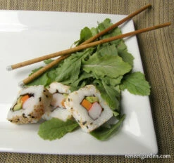 Wasabi Arugula 11 Wasabi Arugula -Parkseed Shop arugula wasabi 05