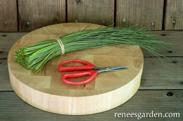 Culinary Chives 4 Culinary Chives - Image 2