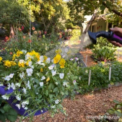 Dramm One Touch Fan Nozzle -Parkseed Shop dramm one touch fan nozzle 10